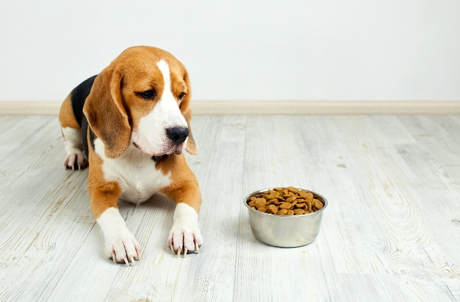 脂肪瘤流血處理 脂肪瘤流血處理