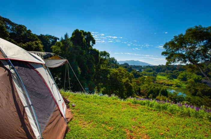 露營場地選擇