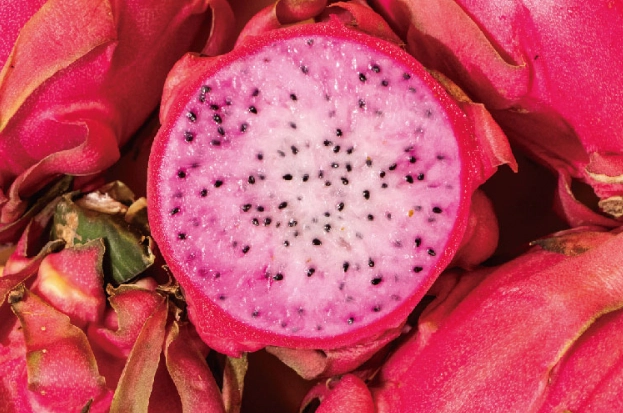 火龍果尿尿變色