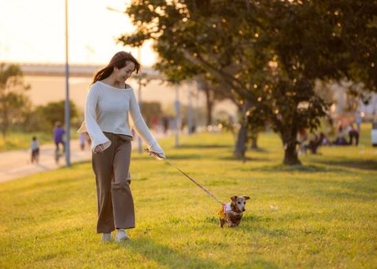 遛狗技巧 遛狗技巧