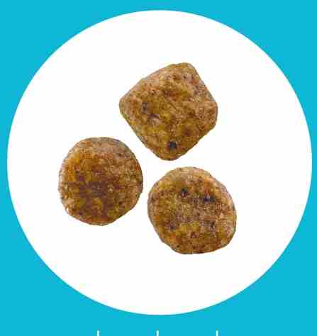 高齡犬專用飼料