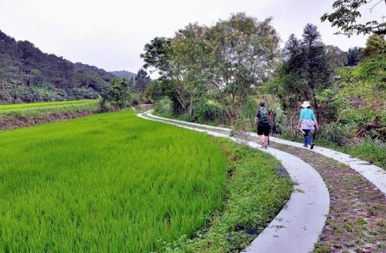 桃園楊梅登山步道 桃園楊梅登山步道