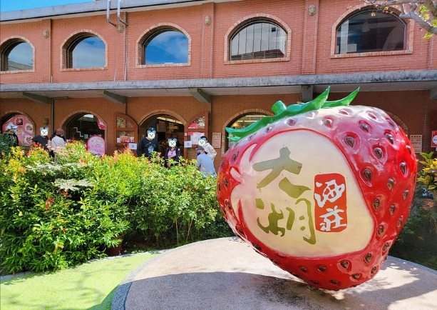 台灣草莓農場 台灣草莓農場