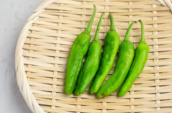 糯米椒品種 糯米椒品種