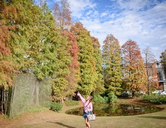 桃園一日遊免費