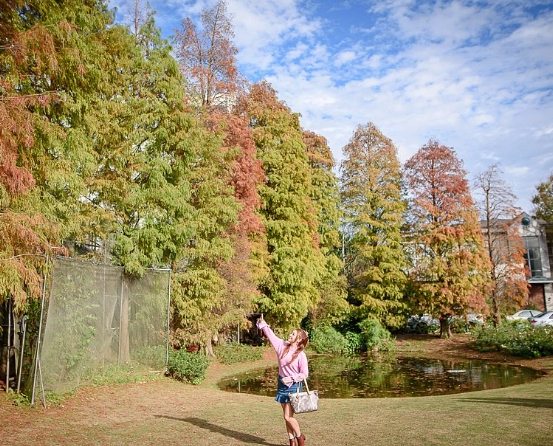 桃園免費景點推薦