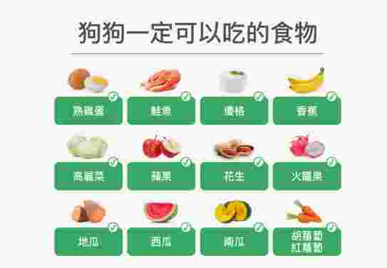 狗狗飲食禁忌 狗狗飲食禁忌