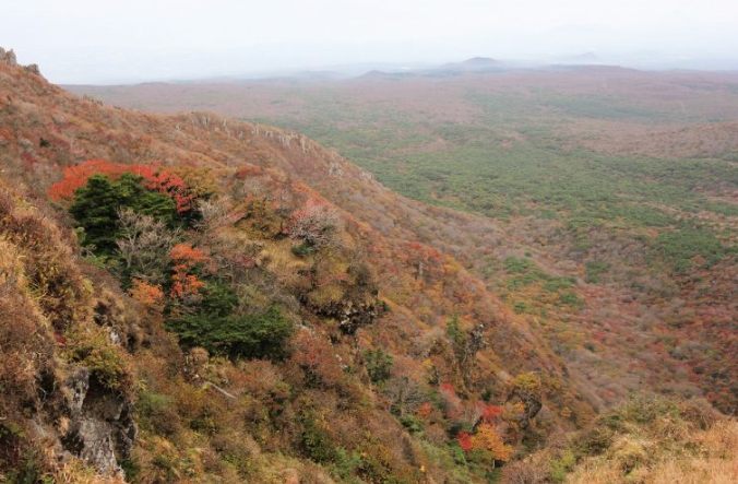 濟州島交通方式 濟州島交通方式