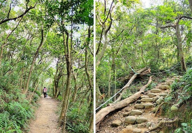 楊梅健行步道 楊梅健行步道