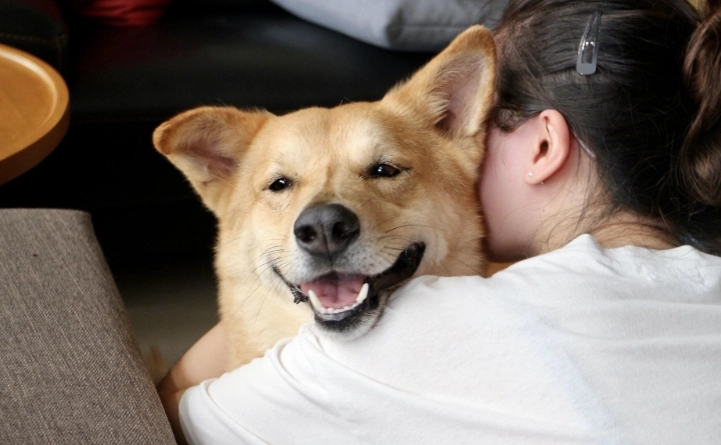 寵物皮膚病診斷