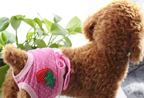 寵物內心世界 寵物內心世界