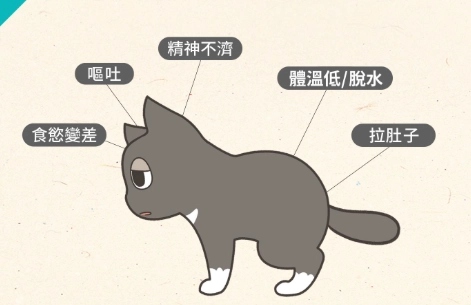 胰臟炎脫水飲食