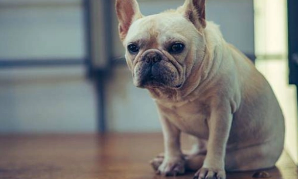 軟顎切除手術花費