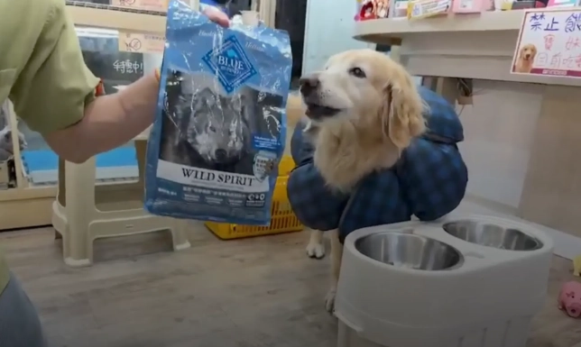 狗皮膚過敏症狀 狗皮膚過敏症狀