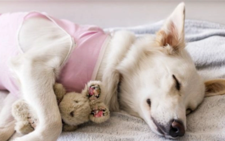 前庭神經炎症狀治療