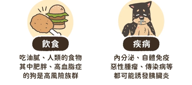 狗狗胰臟炎飲食管理