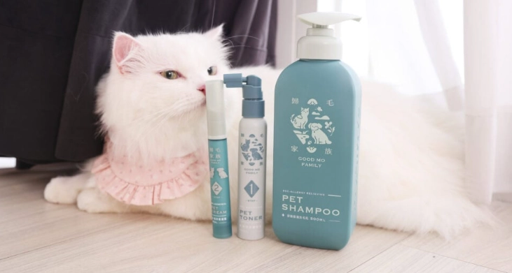 貓濕疹預防方法