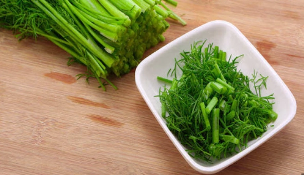 茴香種植常見問題