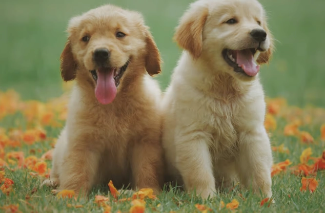 神經炎治療方法