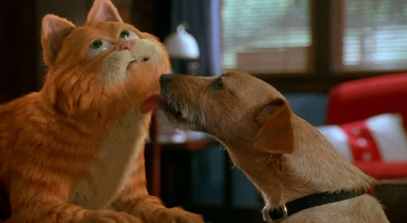 老年狗行為異常 老年狗行為異常