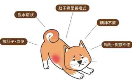 胰臟炎脫水症狀