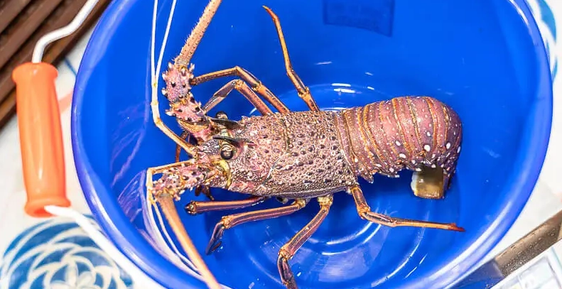 基隆美食吃到飽