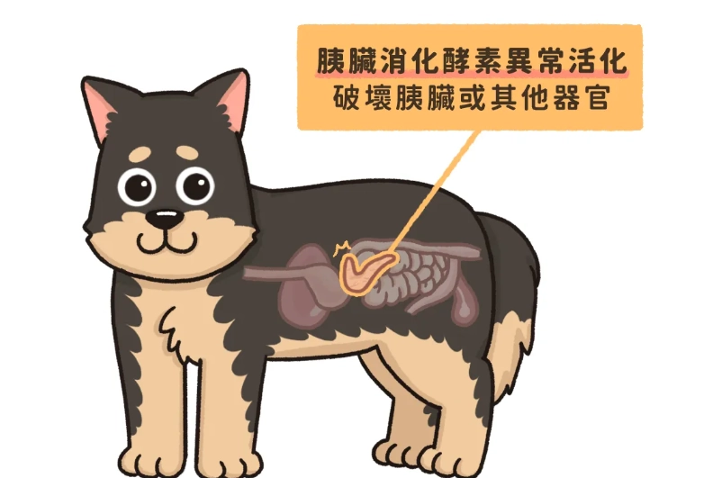 狗狗胰臟炎飲食管理
