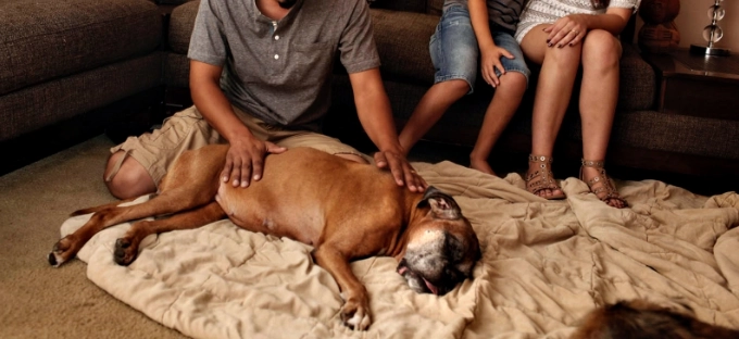 上門安樂死費用