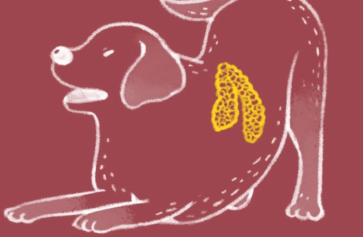 胰臟炎脫水飲食