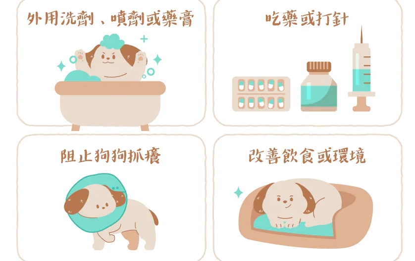 狗虱子咬人症狀