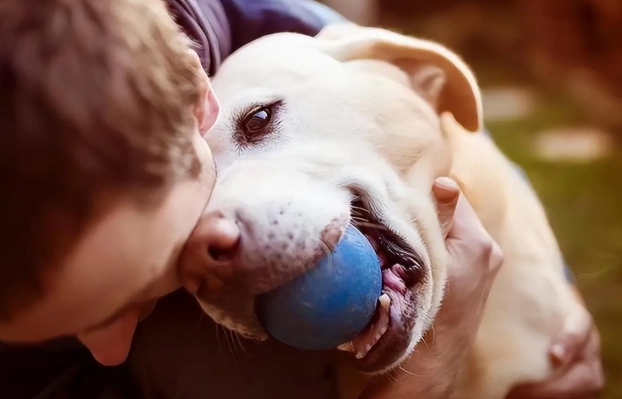 狗狗喜歡的人特質
