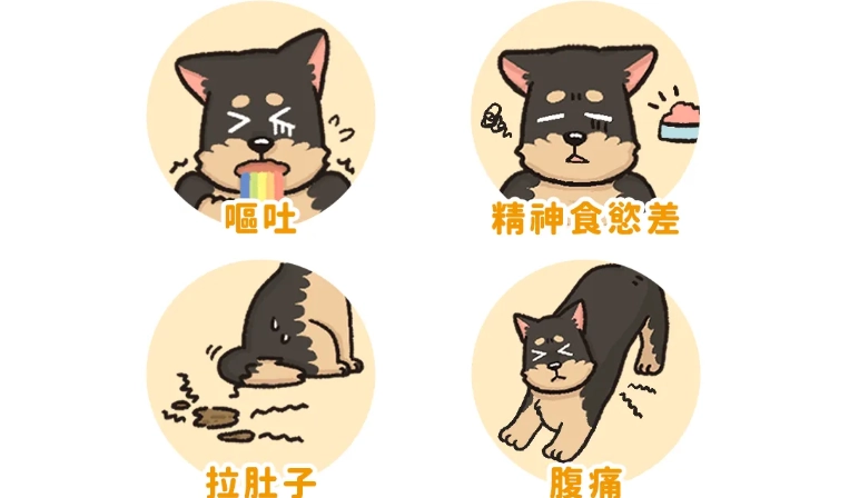 胰臟炎灌食方法