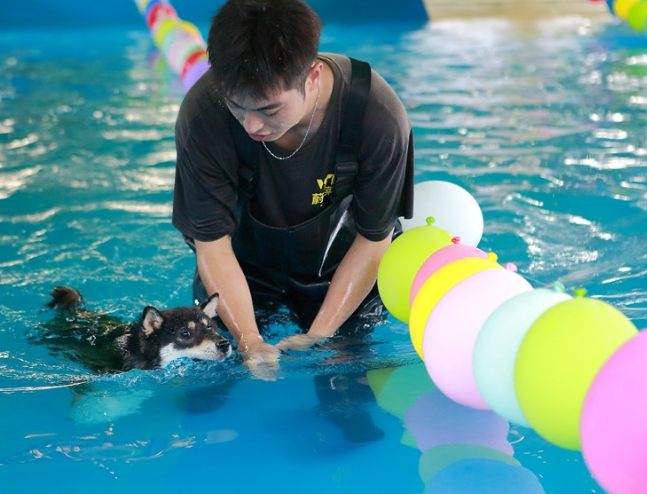 墾丁寵物友善海灘 墾丁寵物友善海灘