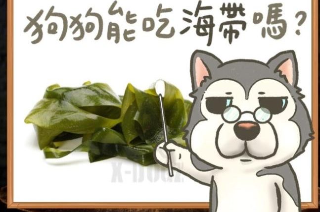 狗狗可以吃海帶嗎