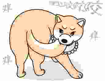 狗狗咳嗽治療 狗狗咳嗽治療