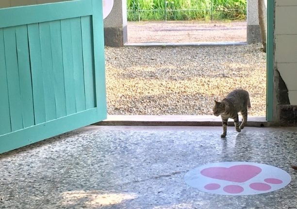 屏東私房景點 屏東私房景點