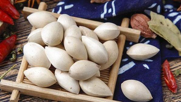 銀杏果中毒 銀杏果中毒