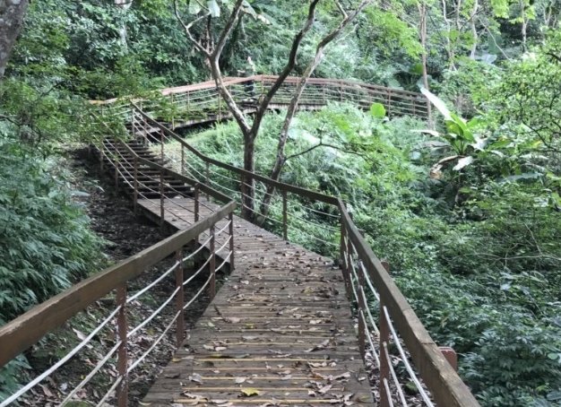 鯉魚山登山步道 鯉魚山登山步道