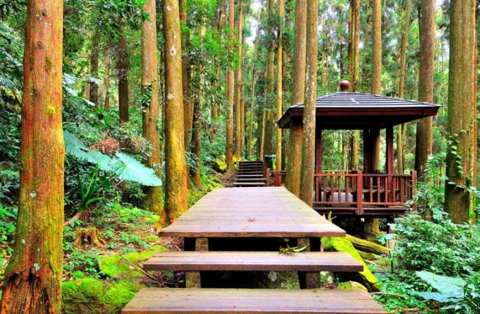 嘉義奮起湖行程 嘉義奮起湖行程