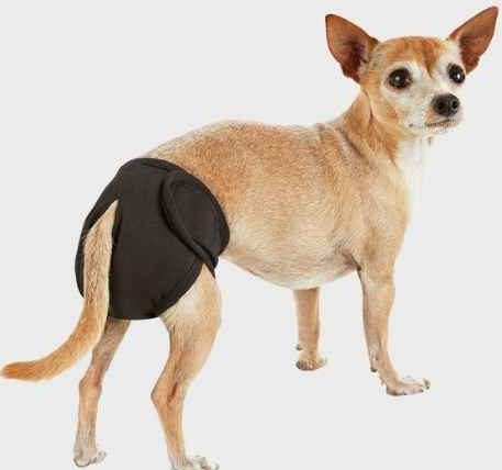 狗狗尿布墊多久換