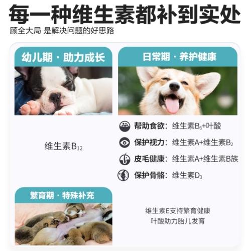 寵物電解質補充 寵物電解質補充