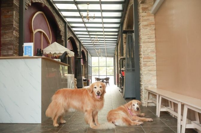 桃園溫泉住宿 桃園溫泉住宿