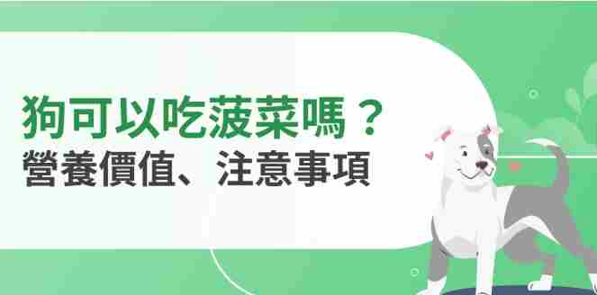 菠菜對狗的風險