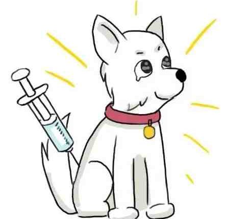 被狗咬狂犬病疫苗