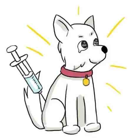 狂犬病疫苗接種