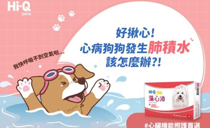 狗狗肺積水如何治療