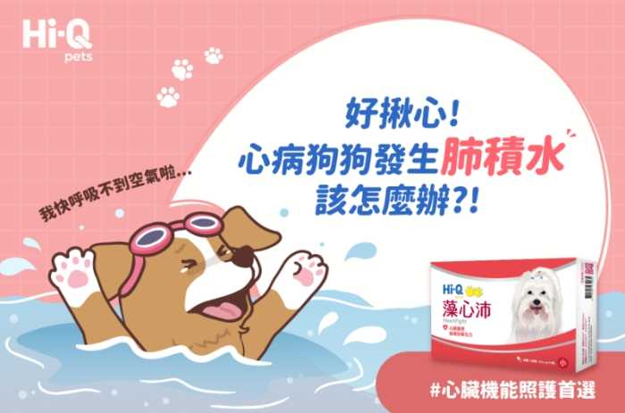 狗狗肺積水如何治療？症狀、診斷與治療方法完整指南