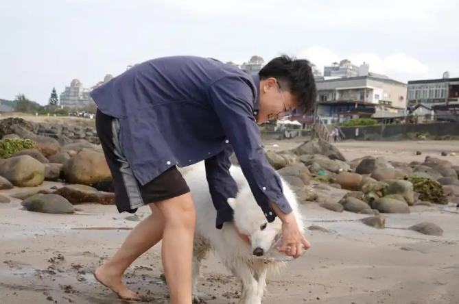 如何判斷狗狗壓力大 如何判斷狗狗壓力大