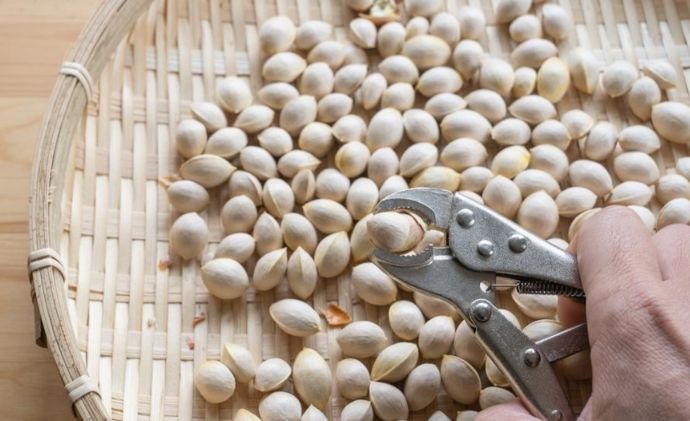 白果食用方法 白果食用方法