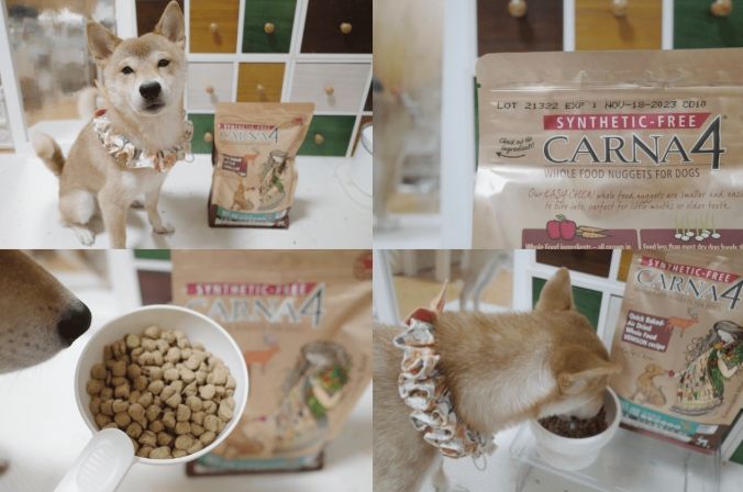 犬隻腸胃保健飼料